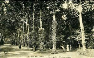 Sidi bel abbes 148